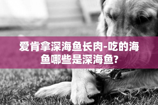 愛肯拿深海魚長肉-吃的海魚哪些是深海魚?