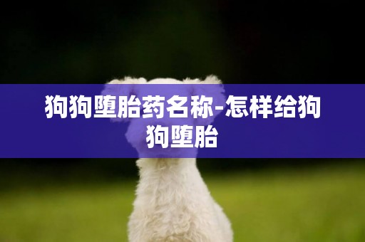 狗狗墮胎藥名稱-怎樣給狗狗墮胎