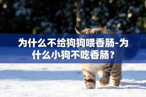 為什么不給狗狗喂香腸-為什么小狗不吃香腸？
