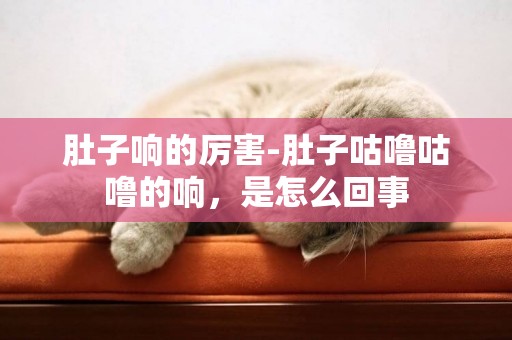 肚子響的厲害-肚子咕嚕咕嚕的響，是怎么回事