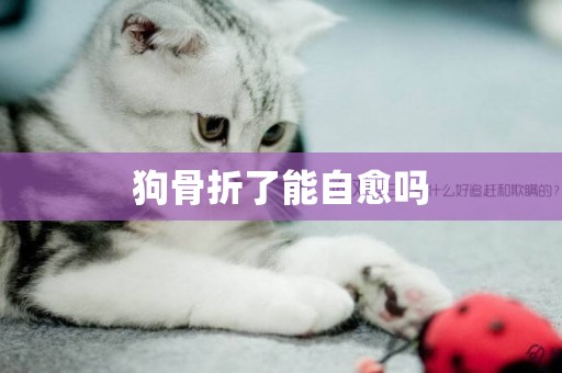 狗骨折了能自愈嗎