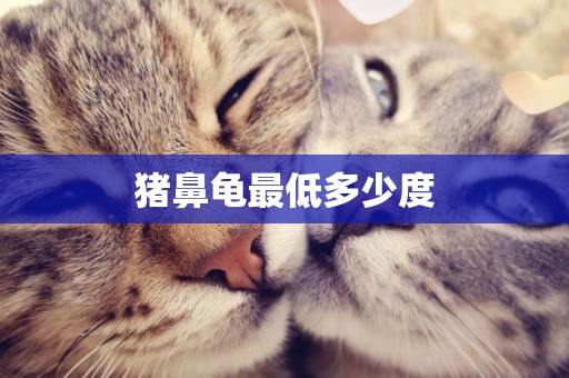 豬鼻龜最低多少度