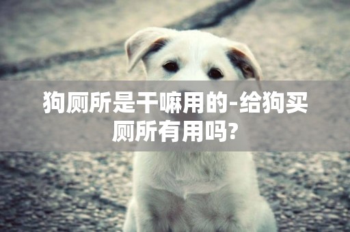 狗廁所是干嘛用的-給狗買廁所有用嗎?