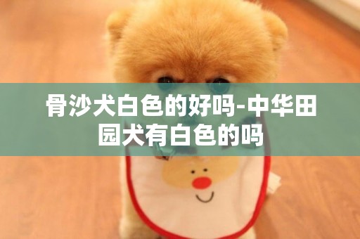 骨沙犬白色的好嗎-中華田園犬有白色的嗎