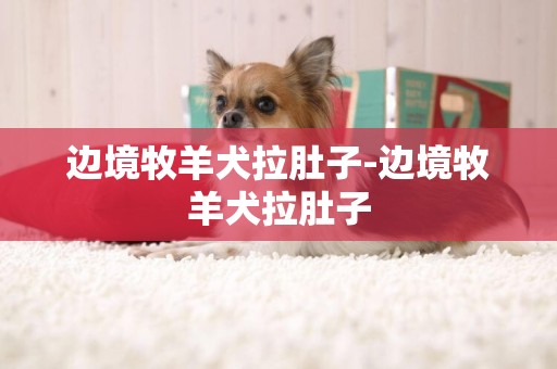 邊境牧羊犬拉肚子-邊境牧羊犬拉肚子
