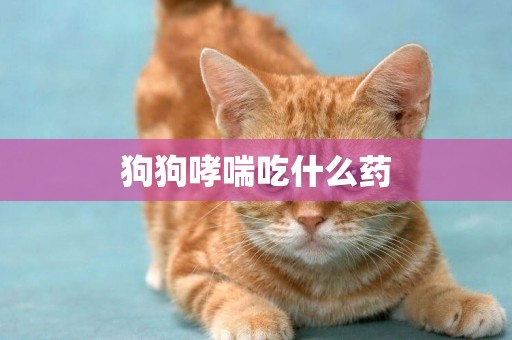 狗狗哮喘吃什么藥