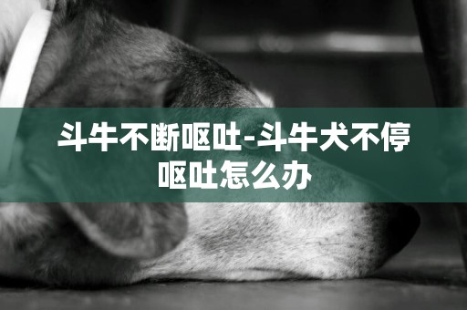 斗牛不斷嘔吐-斗牛犬不停嘔吐怎么辦