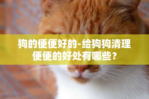 狗的便便好的-給狗狗清理便便的好處有哪些？