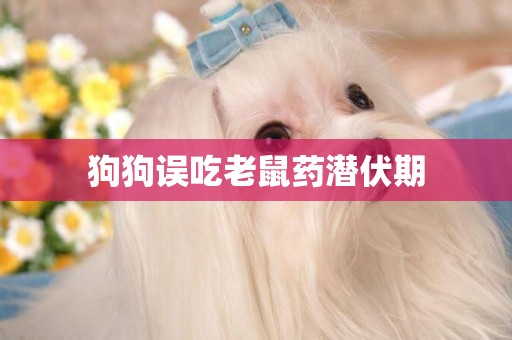 狗狗誤吃老鼠藥潛伏期