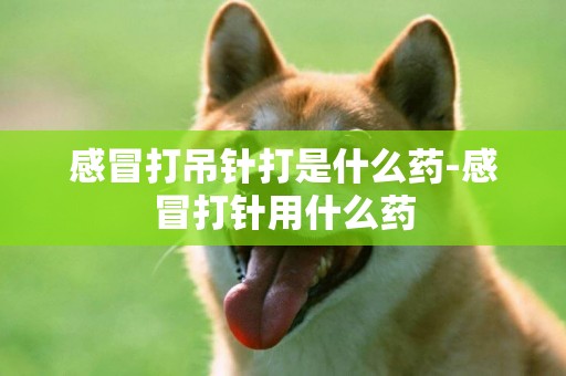 感冒打吊針打是什么藥-感冒打針用什么藥