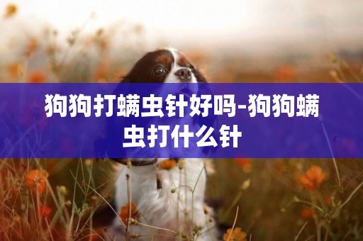 狗狗打螨蟲針好嗎-狗狗螨蟲打什么針
