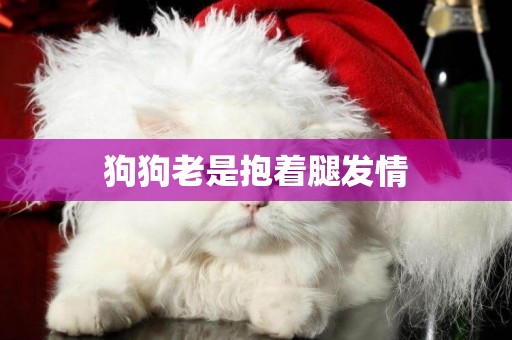 狗狗老是抱著腿發情