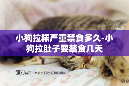 小狗拉稀嚴重禁食多久-小狗拉肚子要禁食幾天