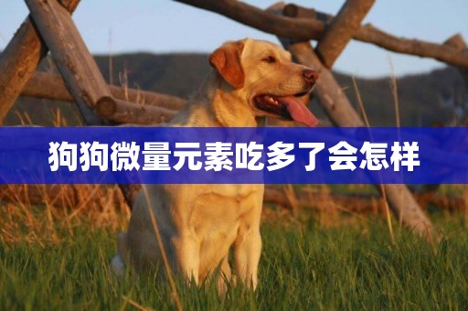 狗狗微量元素吃多了會怎樣