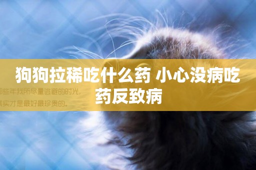 狗狗拉稀吃什么藥 小心沒病吃藥反致病