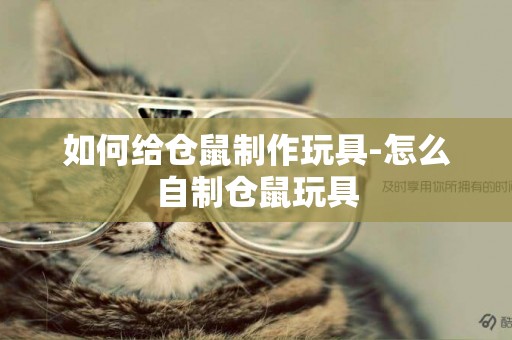 如何給倉鼠制作玩具-怎么自制倉鼠玩具