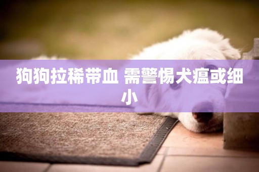 狗狗拉稀帶血 需警惕犬瘟或細小