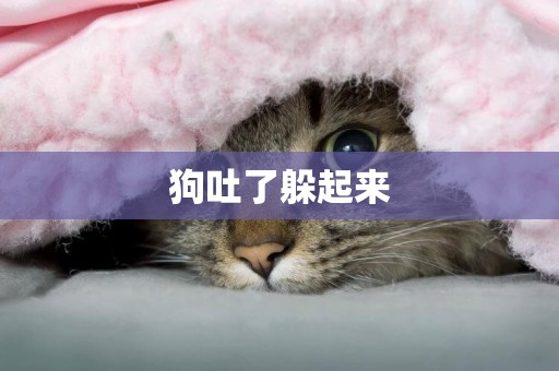 狗吐了躲起來