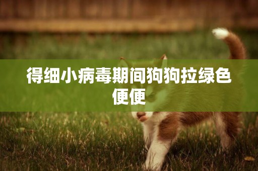 得細小病毒期間狗狗拉綠色便便