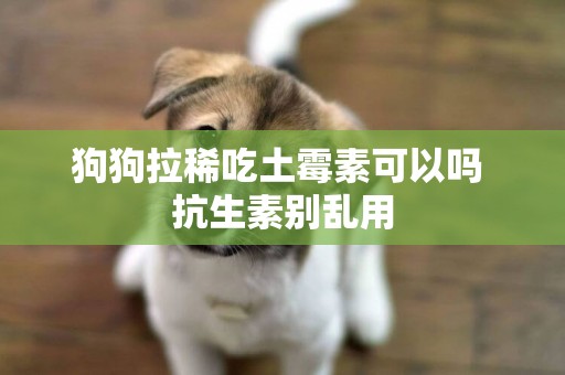 狗狗拉稀吃土霉素可以嗎 抗生素別亂用