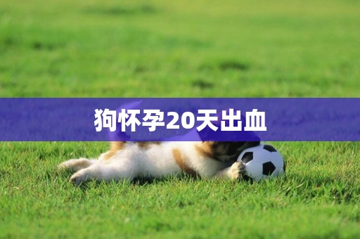 狗懷孕20天出血