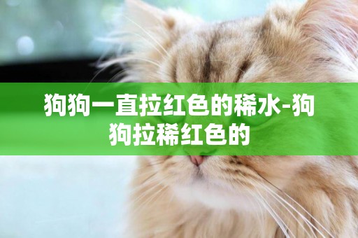 狗狗一直拉紅色的稀水-狗狗拉稀紅色的