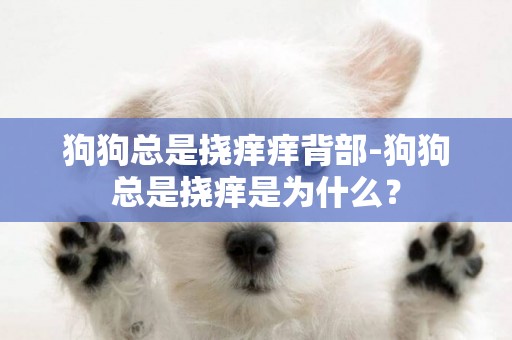 狗狗總是撓癢癢背部-狗狗總是撓癢是為什么？