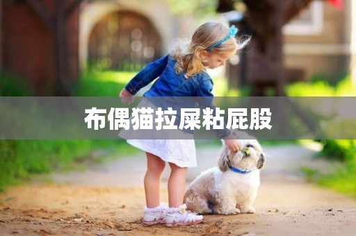 布偶貓拉屎粘屁股