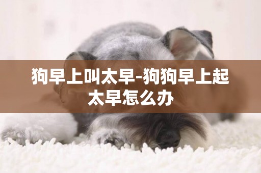 狗早上叫太早-狗狗早上起太早怎么辦