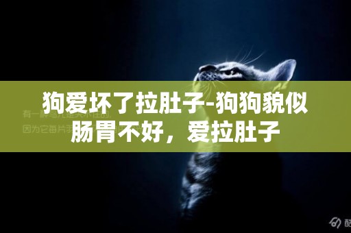 狗愛壞了拉肚子-狗狗貌似腸胃不好，愛拉肚子