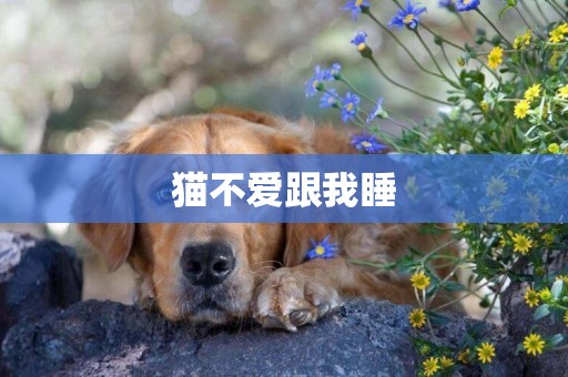 貓不愛跟我睡
