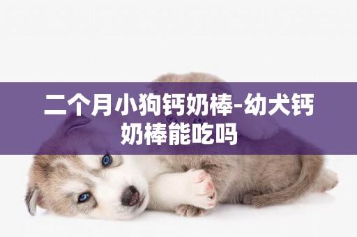 二個月小狗鈣奶棒-幼犬鈣奶棒能吃嗎