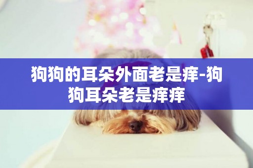 狗狗的耳朵外面老是癢-狗狗耳朵老是癢癢