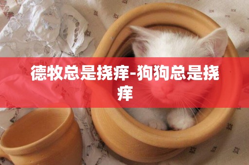 德牧總是撓癢-狗狗總是撓癢