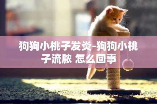 狗狗小桃子發炎-狗狗小桃子流膿 怎么回事