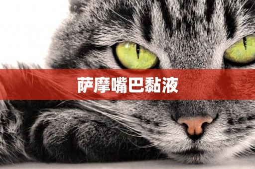 薩摩嘴巴黏液