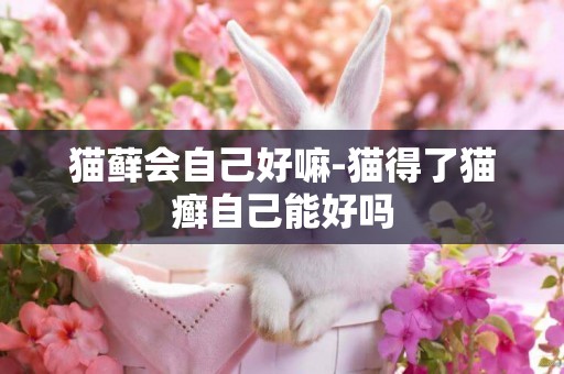 貓蘚會自己好嘛-貓得了貓癬自己能好嗎