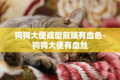 狗狗大便成型前端有血色-狗狗大便有血絲