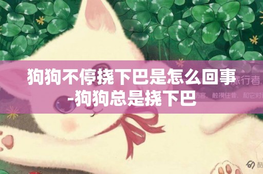 狗狗不停撓下巴是怎么回事-狗狗總是撓下巴
