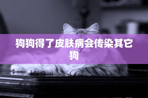 狗狗得了皮膚病會傳染其它狗