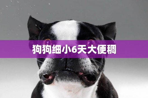 狗狗細小6天大便稠