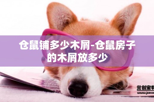 倉鼠鋪多少木屑-倉鼠房子的木屑放多少