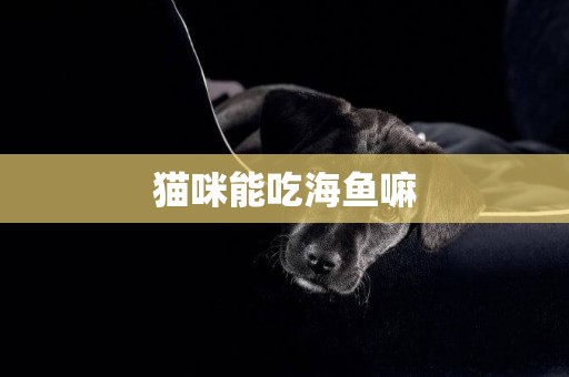貓咪能吃海魚嘛