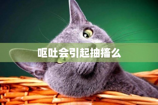 嘔吐會引起抽搐么