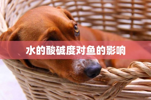 水的酸堿度對魚的影響