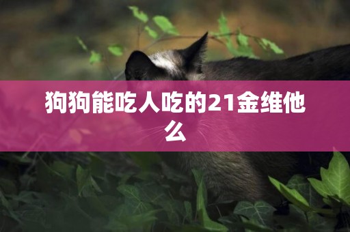 狗狗能吃人吃的21金維他么