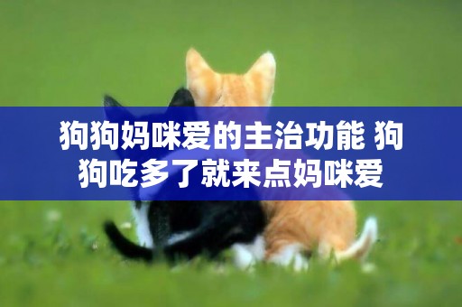 狗狗媽咪愛的主治功能 狗狗吃多了就來點媽咪愛