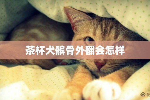 茶杯犬髕骨外翻會怎樣