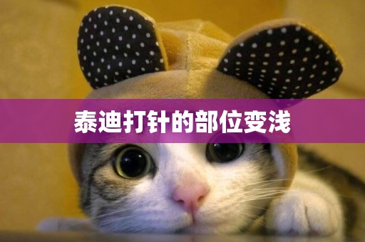 泰迪打針的部位變淺