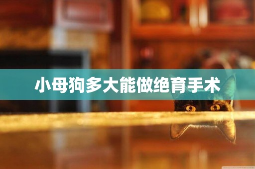 小母狗多大能做絕育手術